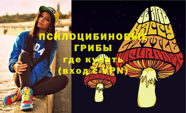 дживик Алексеевка