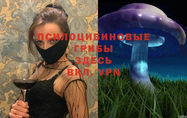 дживик Алексеевка