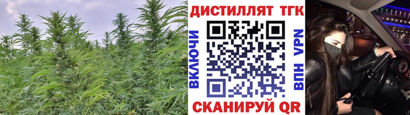 Дистиллят ТГК Wax  кракен ССЫЛКА  Навашино  как найти  