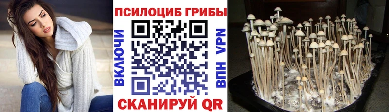 mega как зайти  Навашино  Псилоцибиновые грибы ЛСД 